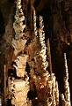 Gouffre de l'Aven Armand (Lozère) Mai 2007 Gouffre, grotte, aven armand, lozere, languedoc 